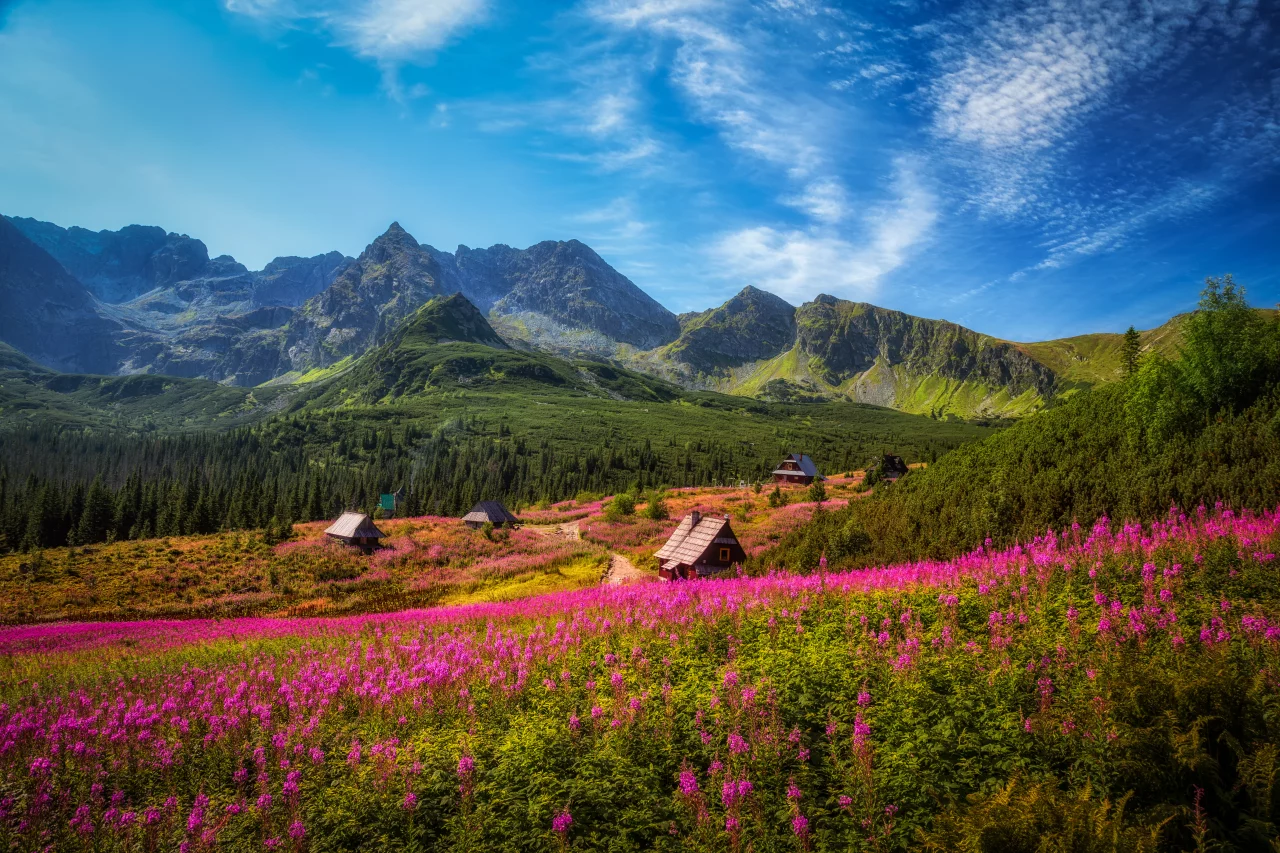 Dlaczego warto przyjechać w góry? 10 powodów, dla których Tatry i Zakopane to świetny wybór