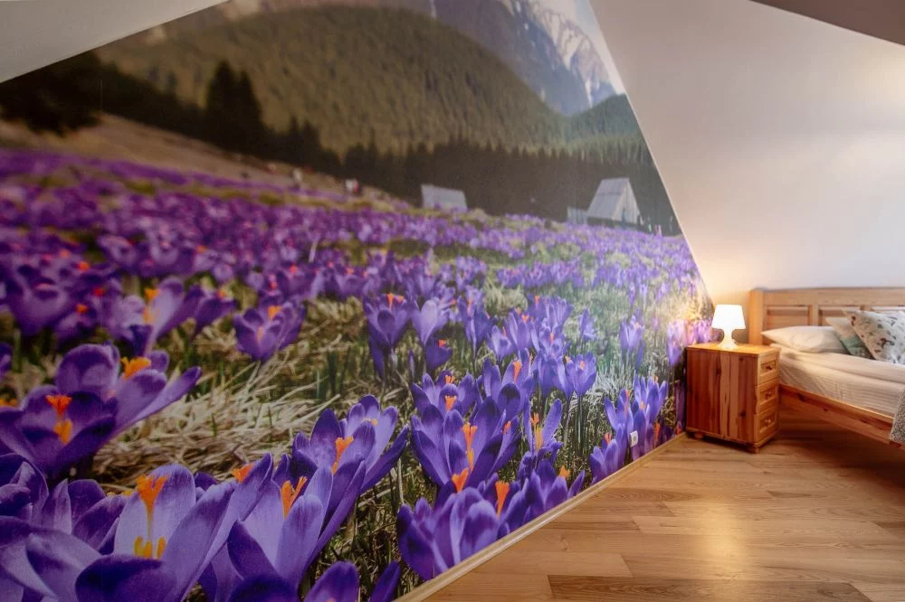 Apartament Lazur Mozaika