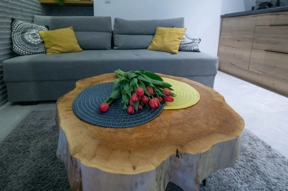 Skalny / GórSKI Przystanek