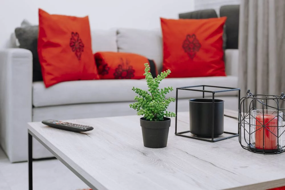 Satoła 2 / GórSKI Przystanek Ogród