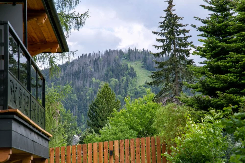 Apartament Alpejski / GórSKI Przystanek