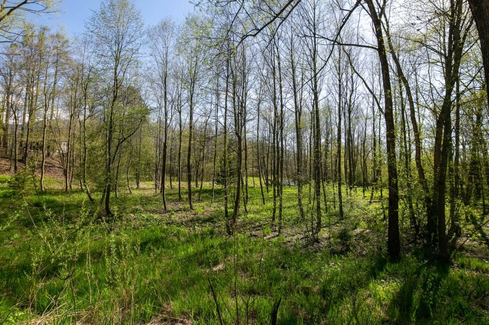 Apartament ADAM + Strefa SPA