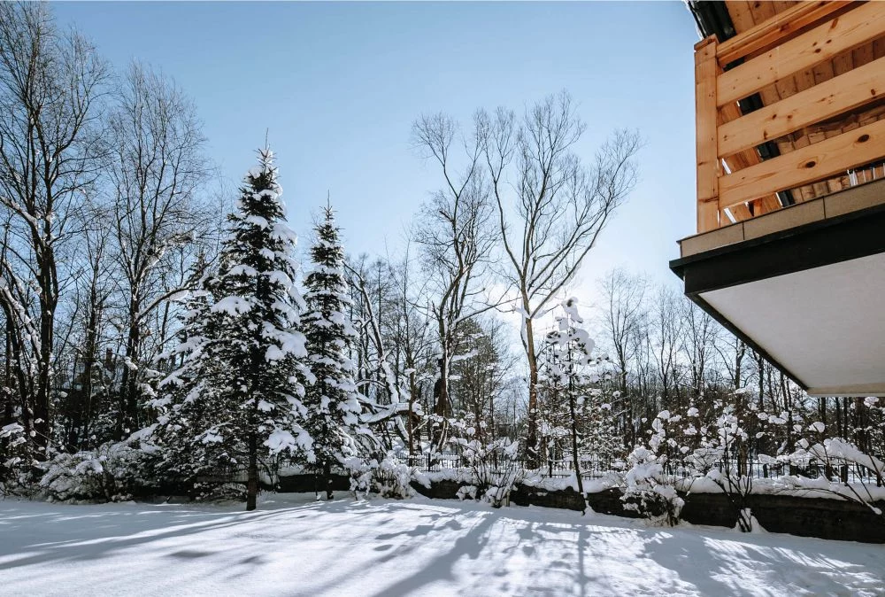 Apartament ADAM + Strefa SPA