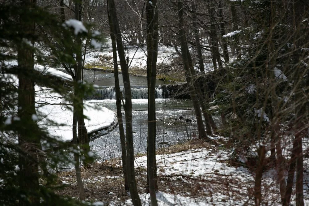 Apartament Cicha Woda + Strefa SPA