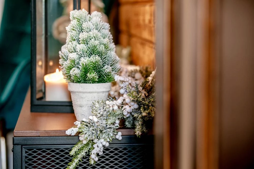 Apartament Biała Róża