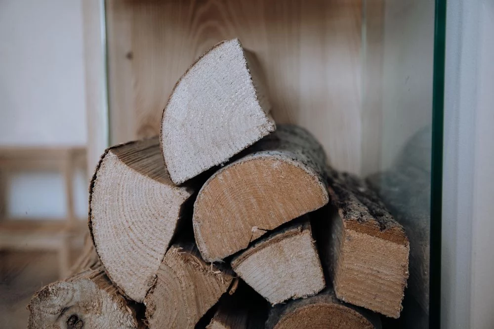 Apartament Tatry Folk Grota Solna