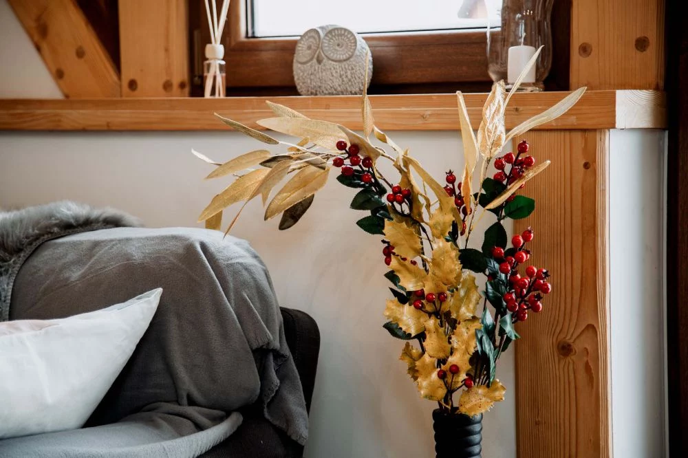 Apartament Tatry Folk Grota Solna