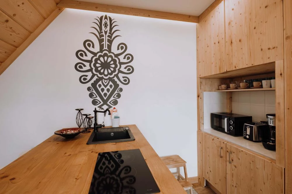 Apartament Tatry Folk Grota Solna