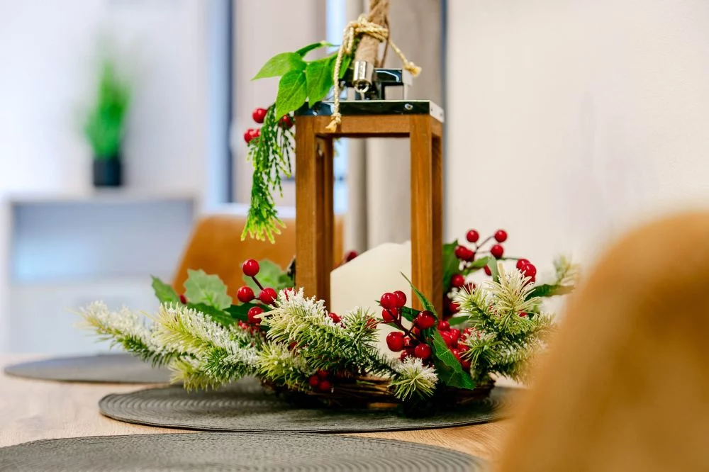 Apartament Tatra View 2 / Księżycowe Apartamenty SPA