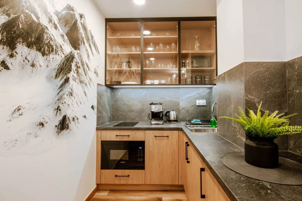 Apartament Tatra View 2 / Księżycowe Apartamenty SPA