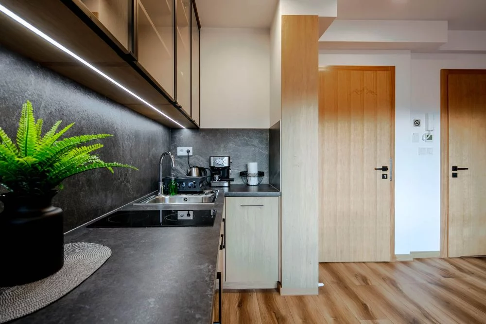 Tatra View / Księżycowe Apartamenty