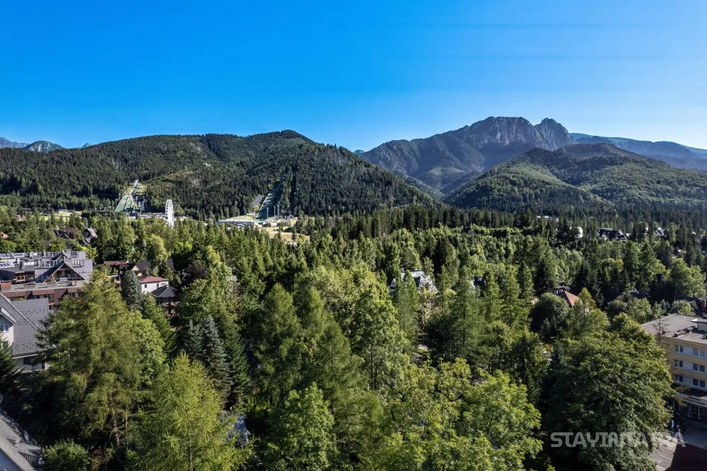 Rezydencja Montis Apartament 1