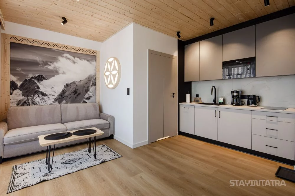 Rezydencja Montis Apartament 9