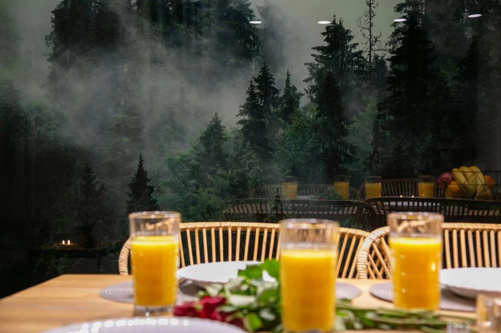 Apartament Forest