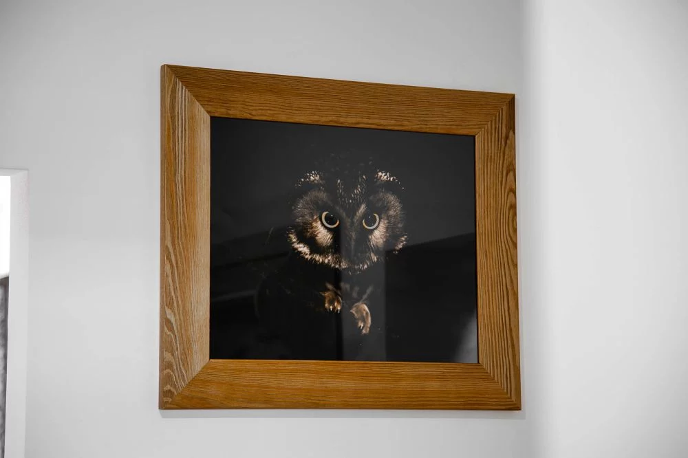 Apartament Płazówka przy Krupówkach