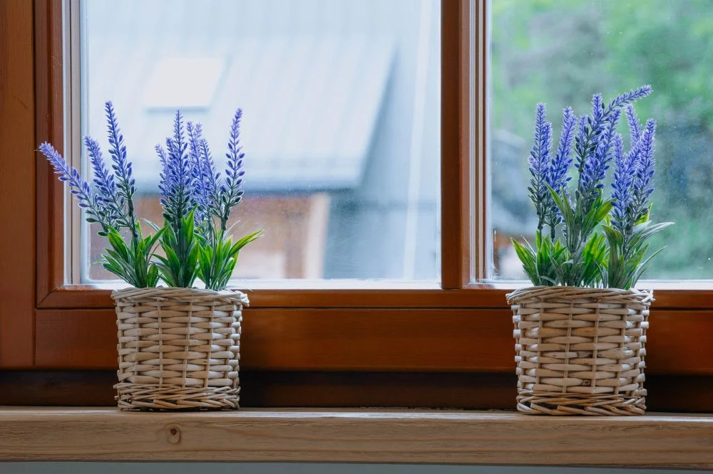 Apartament 12 / Górskie Szczyty Apart & SPA