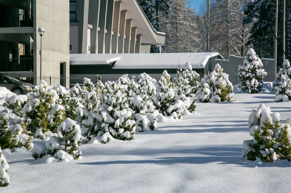 Apartament 5 / Górskie Szczyty Apart & SPA