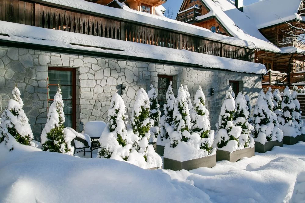 Apartament 2 / Górskie Szczyty Apart & SPA