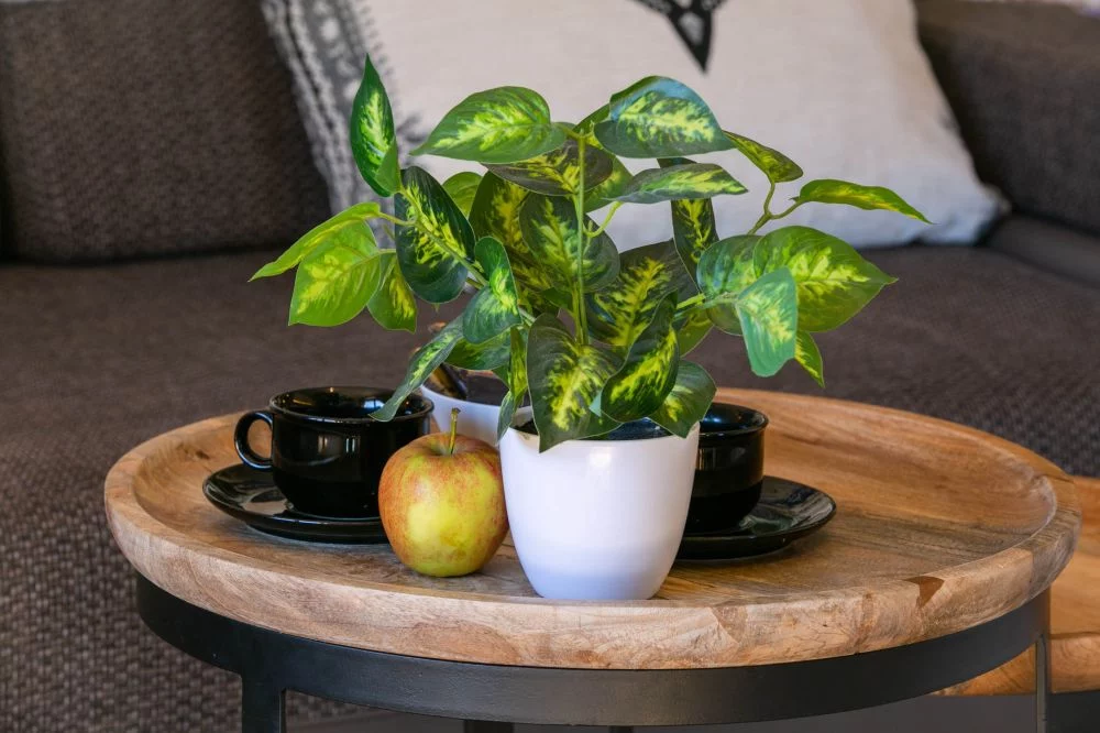 Apartament Topaz Mozaika