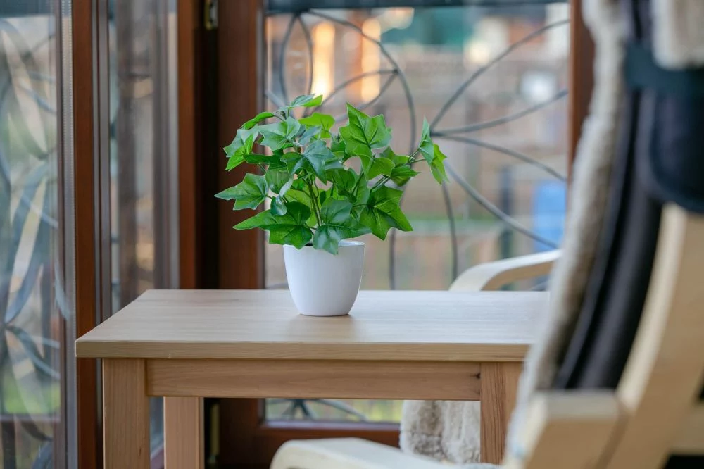 Apartament Topaz Mozaika